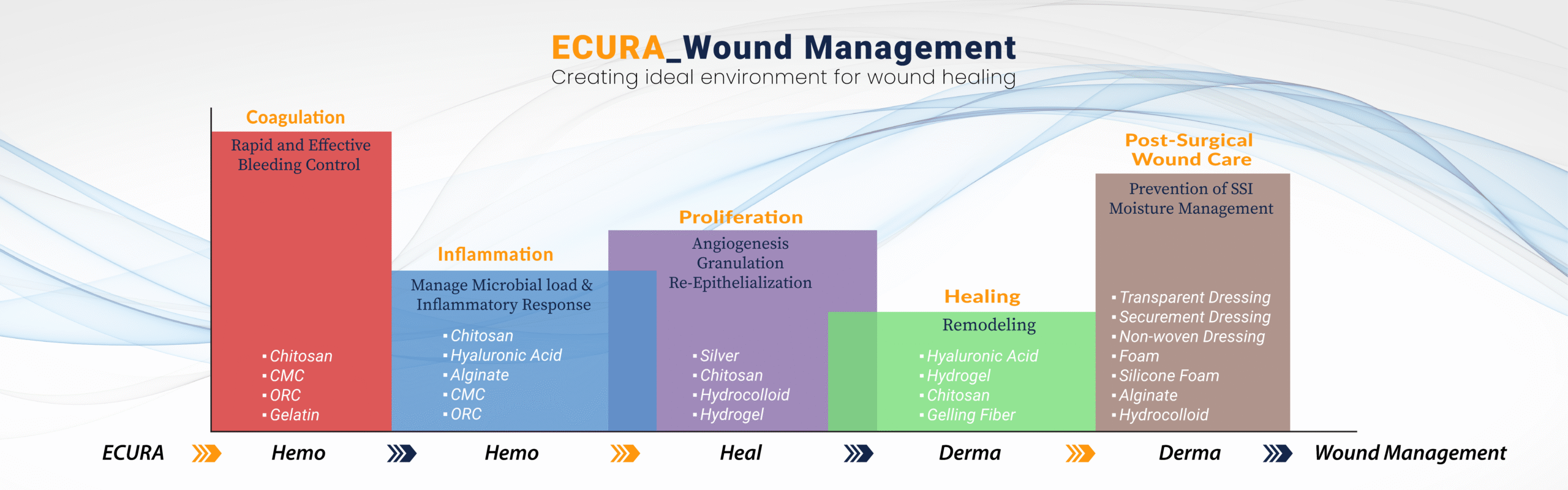 ECURA website banner Corrected 01 scaled